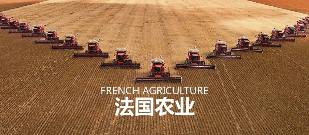 法国农业：欧盟农业大国，靠这6大策略制胜市场